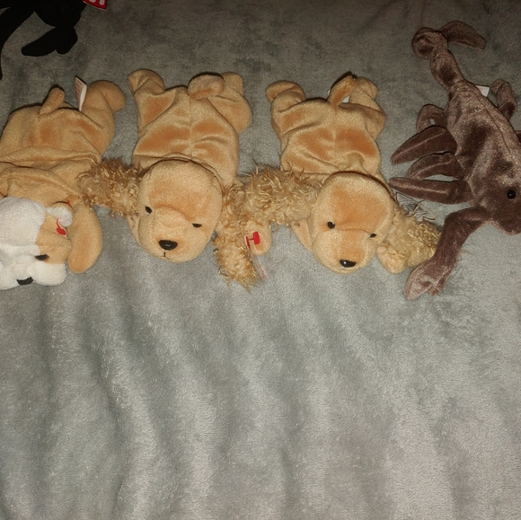 Ty Beanie Babies - Picture 5 of 16